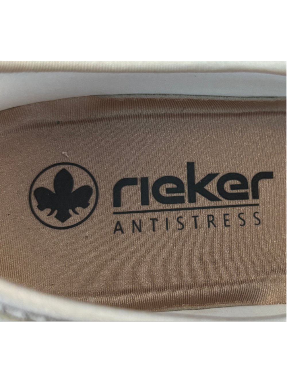 Reiker 8 - Picture 8 of 11